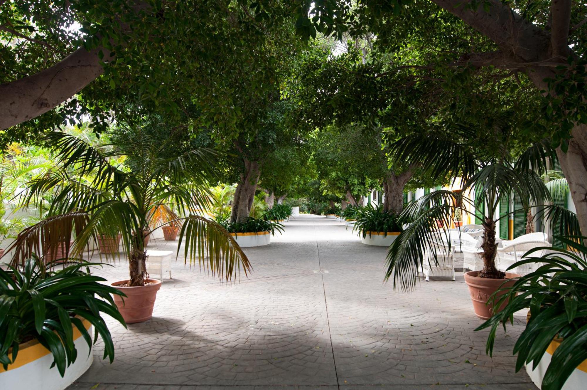 Cortijo San Ignacio Hotel El Cortijo  Exterior photo